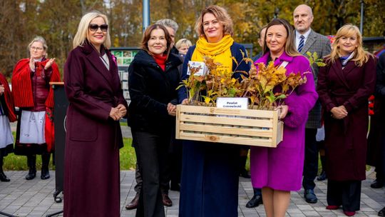 Tysiąc dębów na Tysiąclecie Koronacji: w Świętokrzyskiem sadzą potomków Dębu Bartka dla pamięci i klimatu