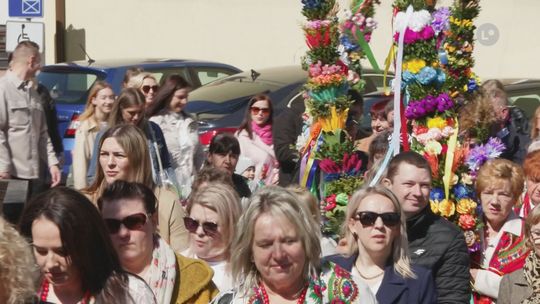 W Bałtowie 27 palm powalczy o uznanie