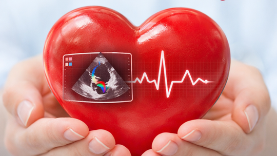 Walentynki z troską o serce. Specjalna akcja profilaktyczna GVM Carint