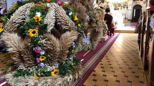 WAŚNIÓW | Rolnicy podziękują za plony. W niedzielę dożynki