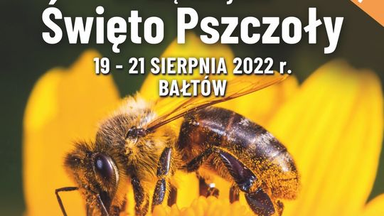 XV Świętokrzyskie Święto Pszczoły w Bałtowie
