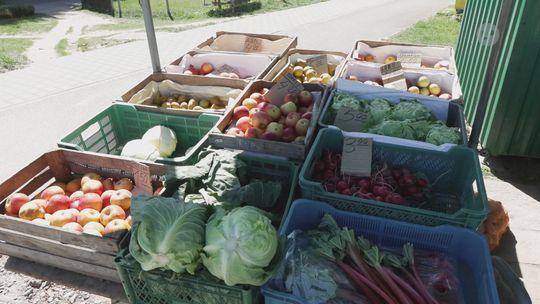 Zakupy na majówkę pod lupą: mieszkańcy wydają więcej i coraz uważniej patrzą na ceny
