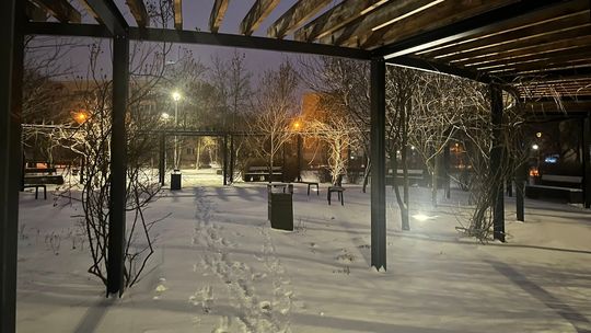 Zima w regionie: jakiej pogody spodziewać się w Sylwestra i Nowy Rok?