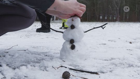 Zimowe tajemnice Rezerwatu Krzemionki. II tura ferii zimowych Zimowe tajemnice Rezerwatu Krzemionki. II tura ferii zimowych