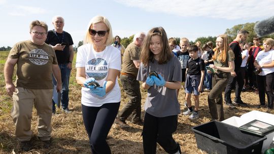 Żółwie błotne wróciły na Ponidzie – wyjątkowe wydarzenie dla regionu
