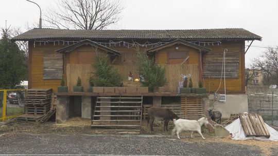 Żywa Szopka przy ostrowieckim hospicjum