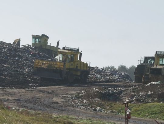 18 marca: Jak segregować odpady i zwiększyć odzysk surowców