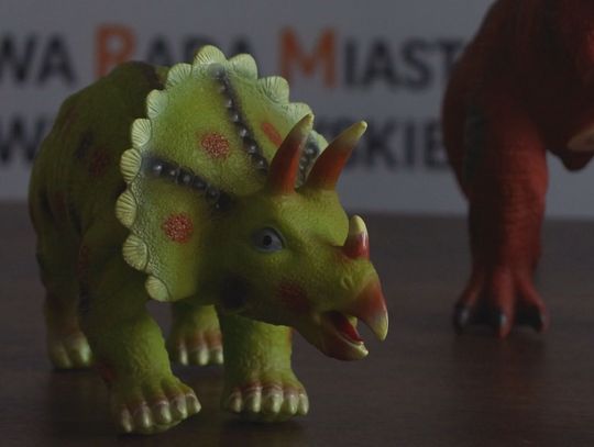 350 figurek z Ostrowca Świętokrzyskiego trafi do dzieci w Gambii