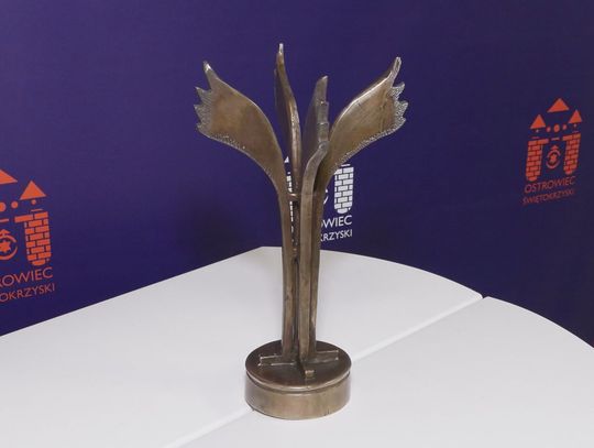 50 zgłoszeń do plebiscytu Żelazne Skrzydła Biznesu. Gala 27 lutego