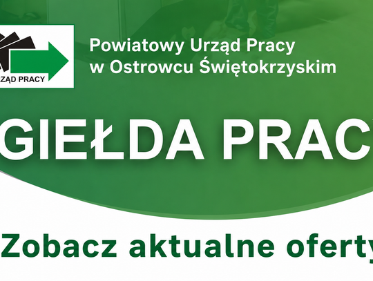 Aktualne oferty pracy