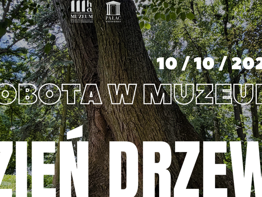 Dzień Drzewa w pałacowym parku