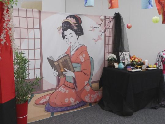 Japonia w bibliotece