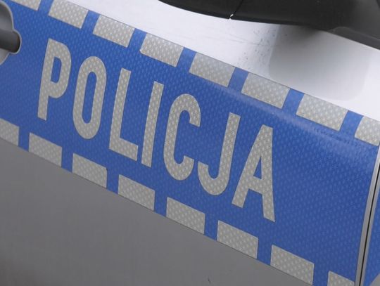 Kontrterrorystyczne wejście w Bałtowie. 11 osób zatrzymanych w szerokiej operacji Kontrterrorystyczne wejście w Bałtowie. 11 osób zatrzymanych w szerokiej operacji