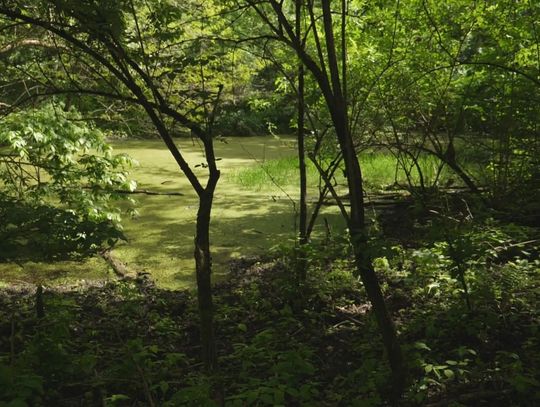 Krzemionki Opatowskie bliżej Europejskiego Dyplomu po pozytywnej opinii komisji