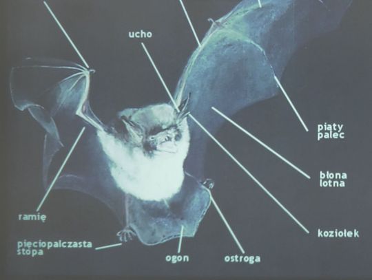 Kto kryje się w mroku? Przed nami kolejna sobota w muzeum