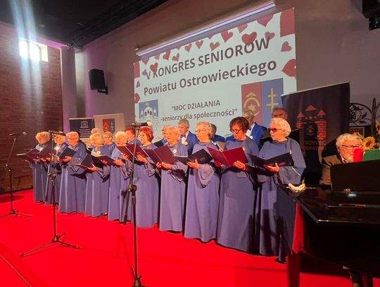 Nabór kandydatów do Miejskiej Rady Seniorów rusza w październiku