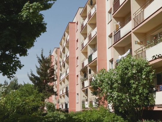 Kobieta pokieruje SM„Hutnik”