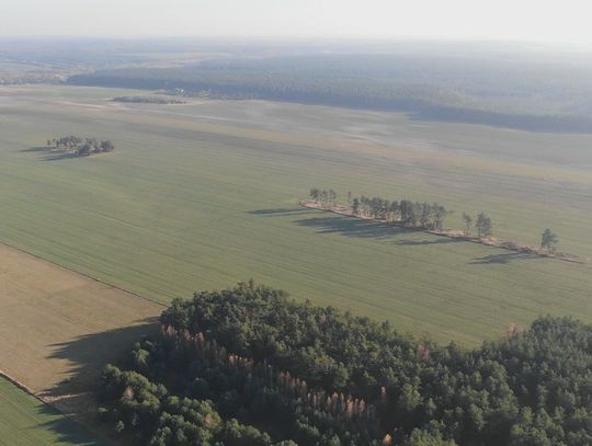 NSA oddalił skargę gminy Ćmielów NSA oddalił skargę gminy Ćmielów