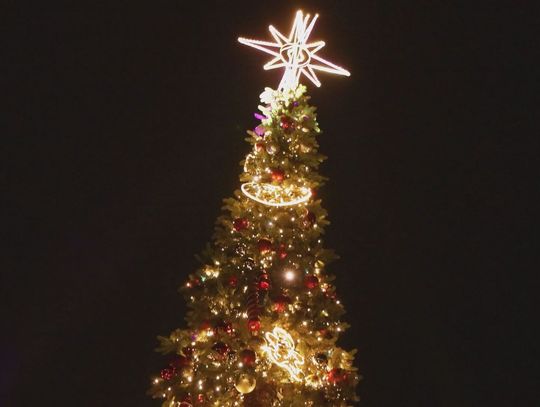 Ostrowiec rozświetlił sezon świąteczny na Rynku Ostrowiec rozświetlił sezon świąteczny na Rynku