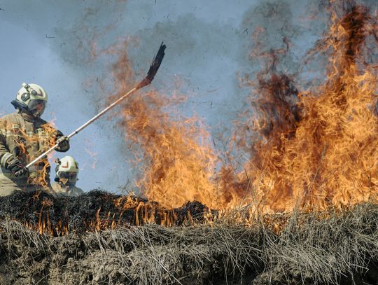 Pracowite święta strażaków Pracowite święta strażaków