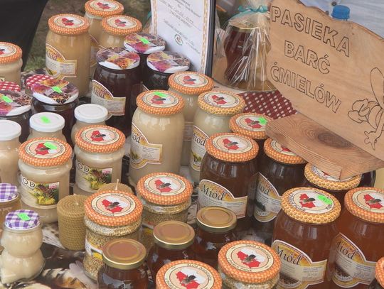 Pszczelarze szykują się do sezonu. W niedzielę spotkanie z mistrzem pszczelarskim