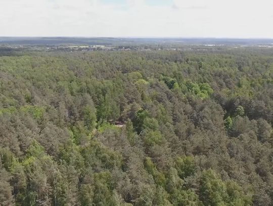 Rozmawiali o zagrożeniach dla przyrody