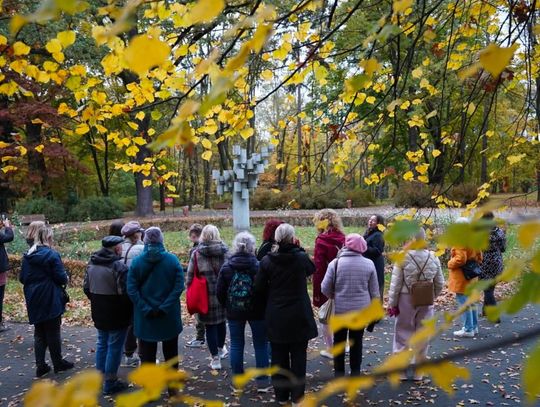 Sztuka i natura w Parku Miejskim