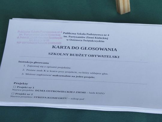 Uczniowie wybrali szkolne projekty. Ostrowiec Świętokrzyski realizuje pomysły do końca roku