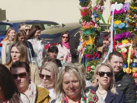 W Bałtowie 27 palm powalczy o uznanie W Bałtowie 27 palm powalczy o uznanie