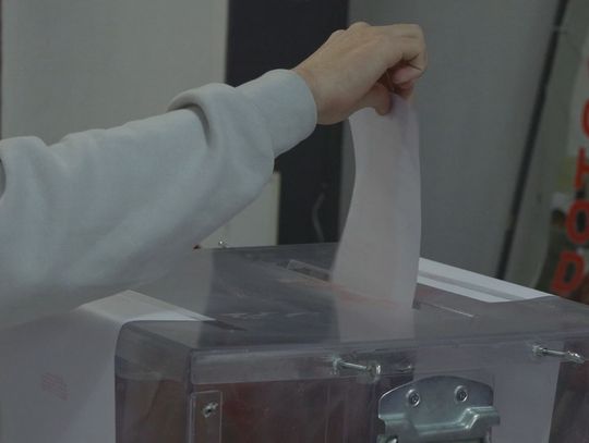 Wybory uzupełniające do Młodzieżowej Rady Powiatu Ostrowieckiego