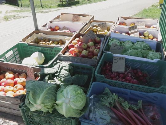 Zakupy na majówkę pod lupą: mieszkańcy wydają więcej i coraz uważniej patrzą na ceny