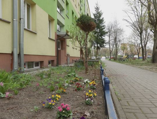 Jak osiedlowe ogródki poprawiają życie mieszkańców i środowisko