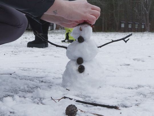 Zimowe tajemnice Rezerwatu Krzemionki. II tura ferii zimowych Zimowe tajemnice Rezerwatu Krzemionki. II tura ferii zimowych