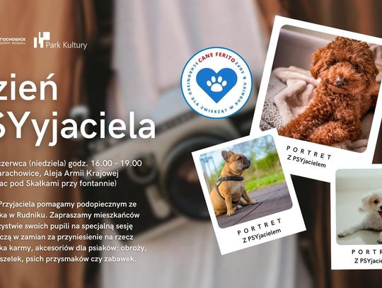 Zrób zdjęcie i pomóż! PSYjaciele czekają na Ciebie Zrób zdjęcie i pomóż! PSYjaciele czekają na Ciebie