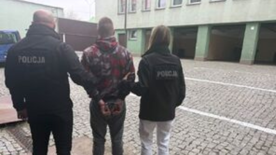 19-latek aresztowany po oszustwie na 81-latce 19-latek aresztowany po oszustwie na 81-latce