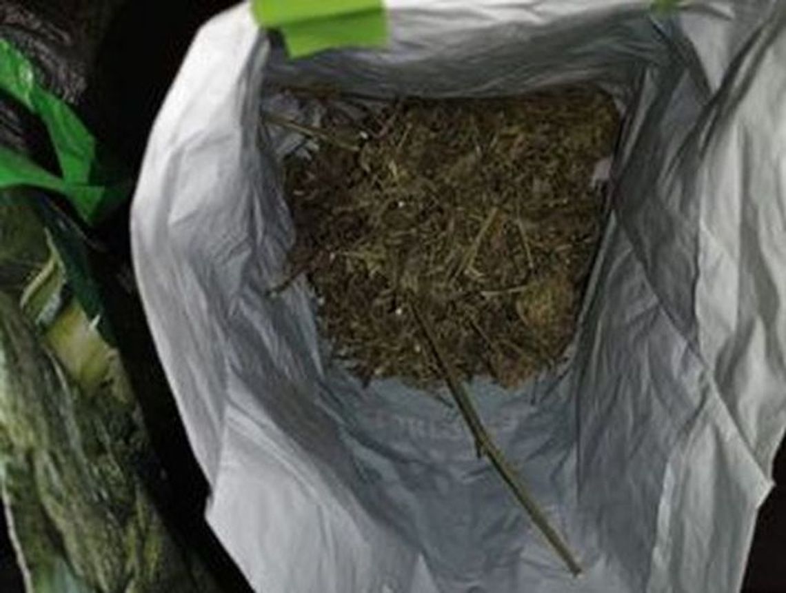 Areszt dla 31-latka z Kunowa za posiadanie blisko 470 g suszu i mefedronu
