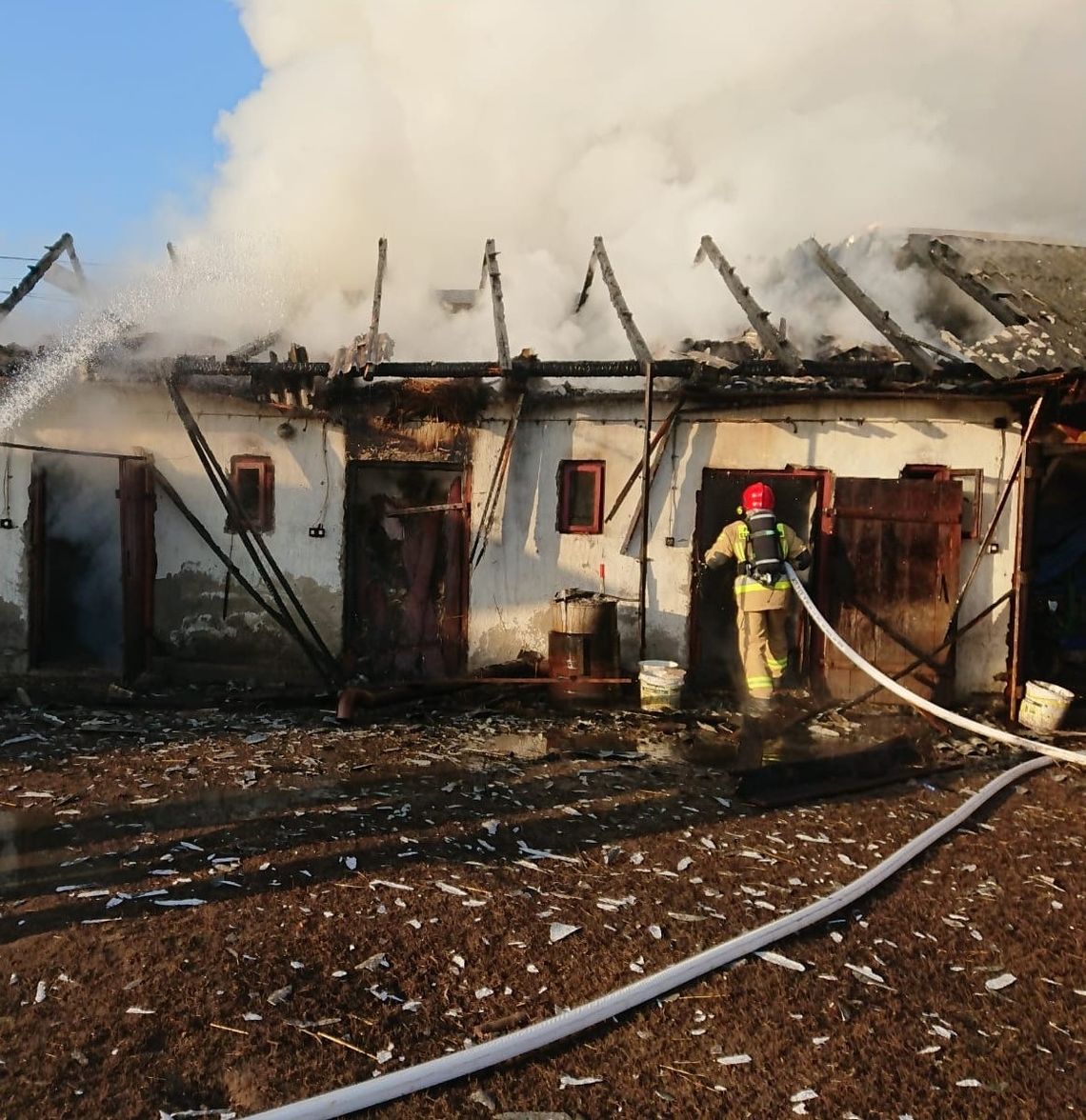 Bałtów: Pożar budynku gospodarczego 