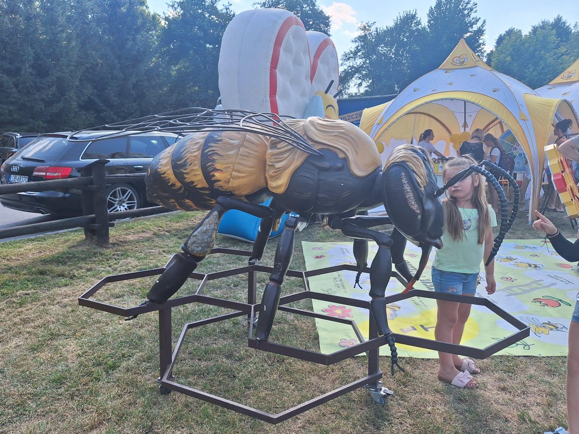 BAŁTÓW | Pszczoły, miód i tradycja podczas XVIII Święta Pszczoły