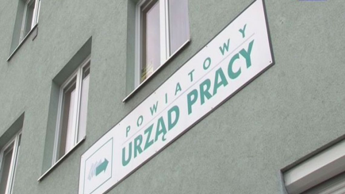 Bezrobotni podzieleni na kategorie