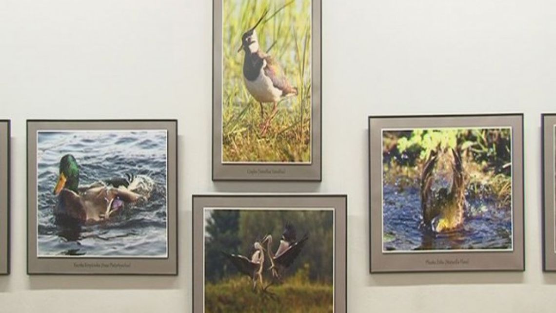 Fotografie malowane piórem Fotografie malowane piórem