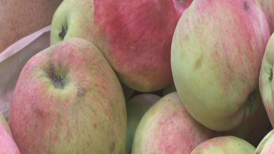 Gwałtowna obniżka cen Gwałtowna obniżka cen