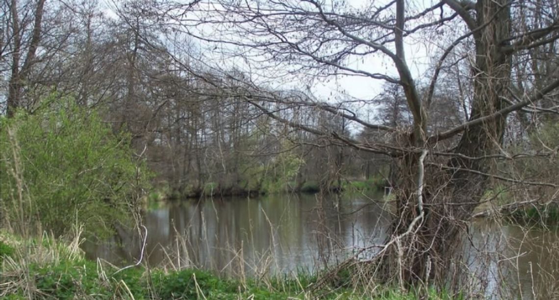 Jak sieć wodna ukształtowała historię Ostrowca? Jak sieć wodna ukształtowała historię Ostrowca?