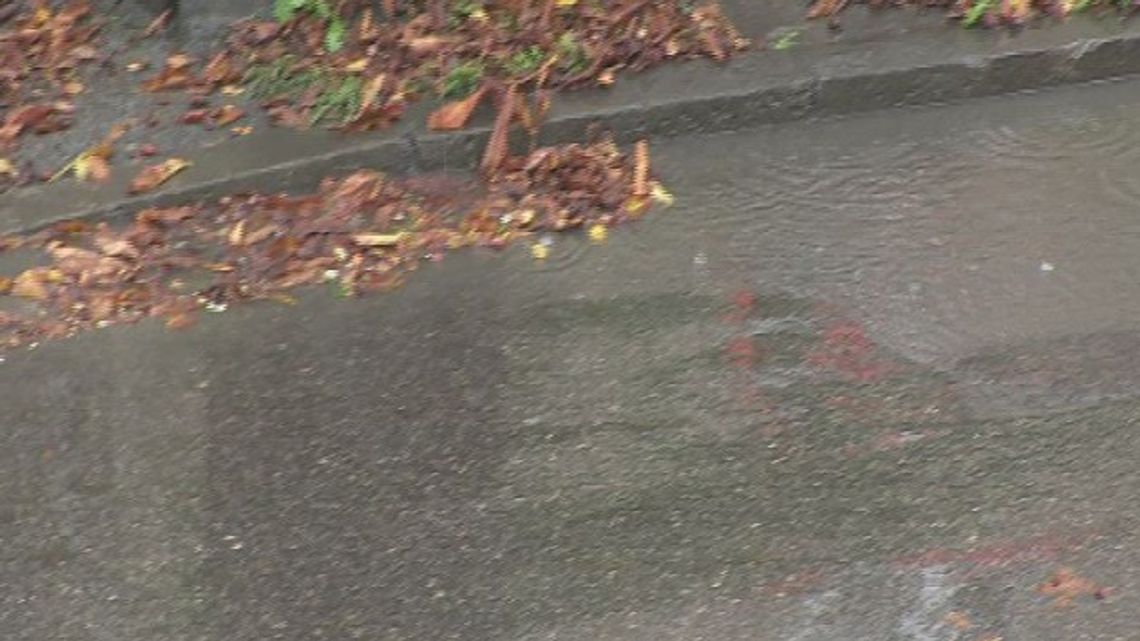 Każdy pieszy z odblaskiem