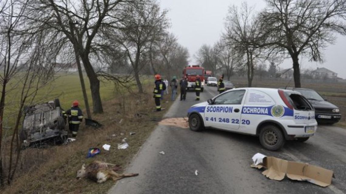 Kolizja w Sarnówku Dużym