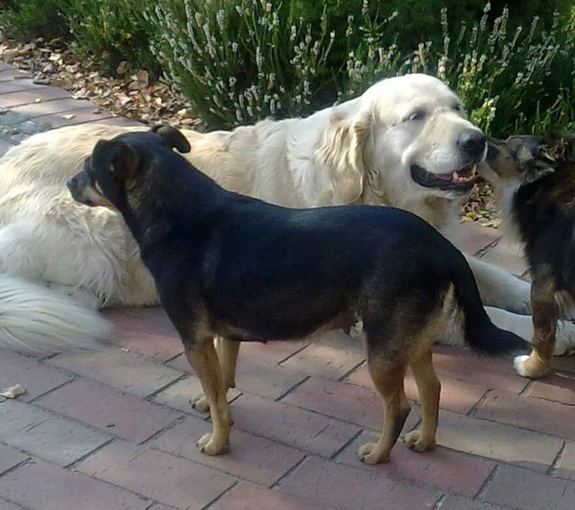 Kropka się znalazła!