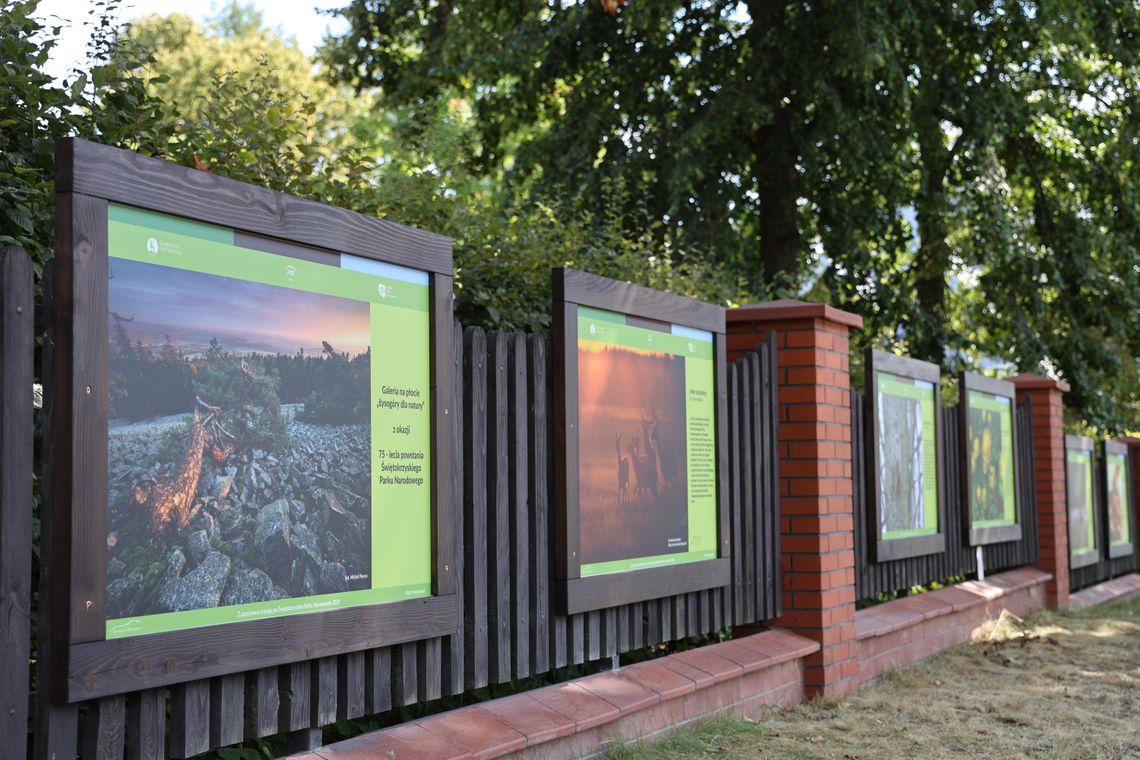 Łysogóry dla natury - galeria zawisła na płocie Łysogóry dla natury - galeria zawisła na płocie