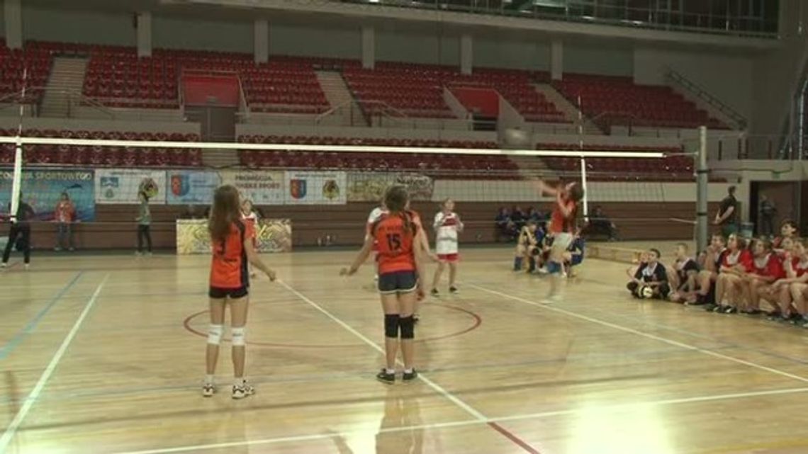 Mini Volley Cup