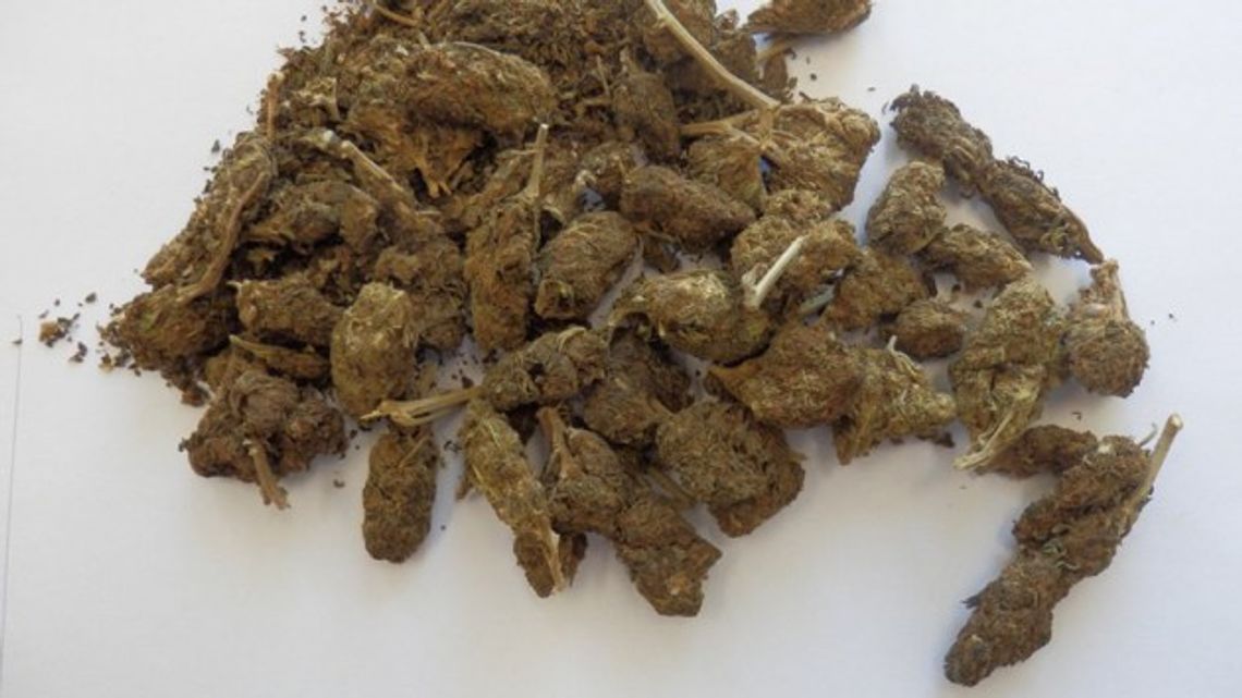 Narkotyki w psiej budzie Narkotyki w psiej budzie