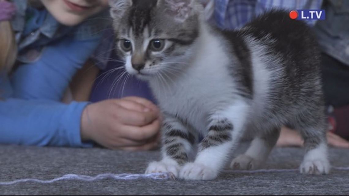 Nie zapominajmy o zwierzętach Nie zapominajmy o zwierzętach