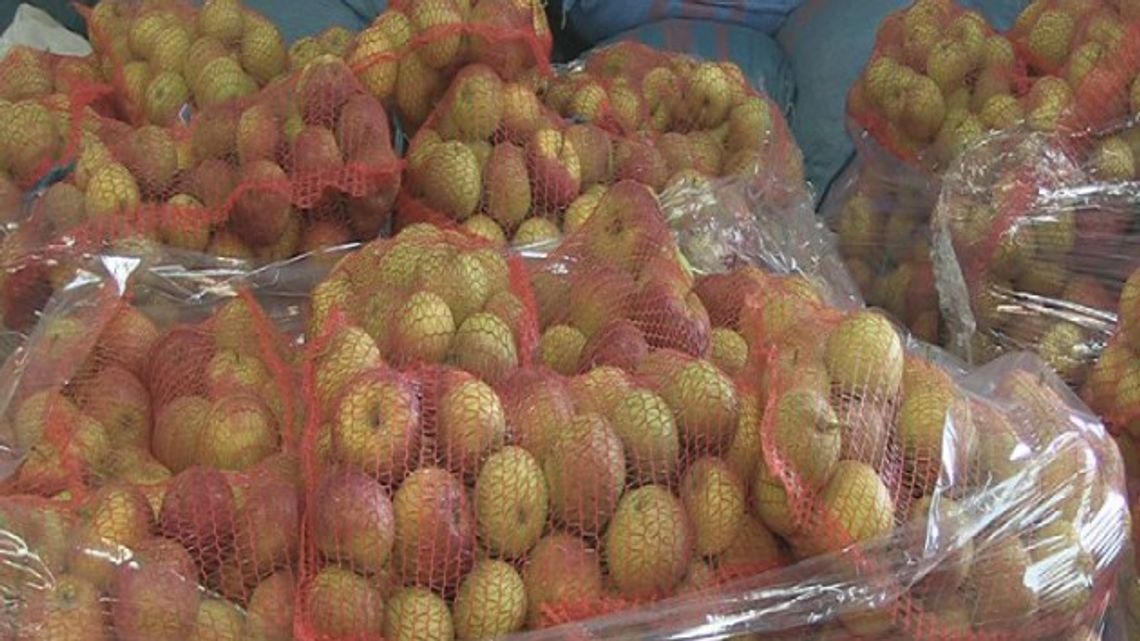 Pomagając rolnikom wspieramy potrzebujących Pomagając rolnikom wspieramy potrzebujących